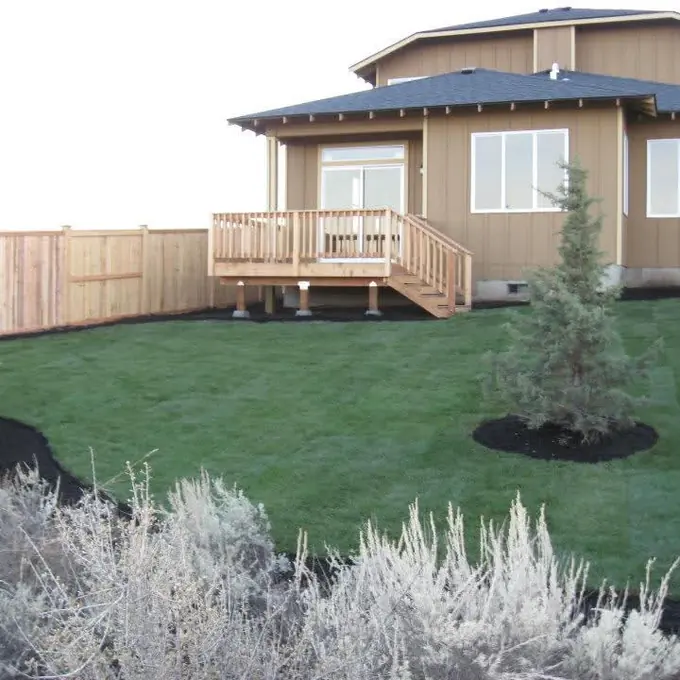 Backyard deck and lawn